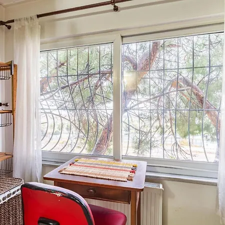 Unique House With Tree Inside Near Sea In Maltepe Villa